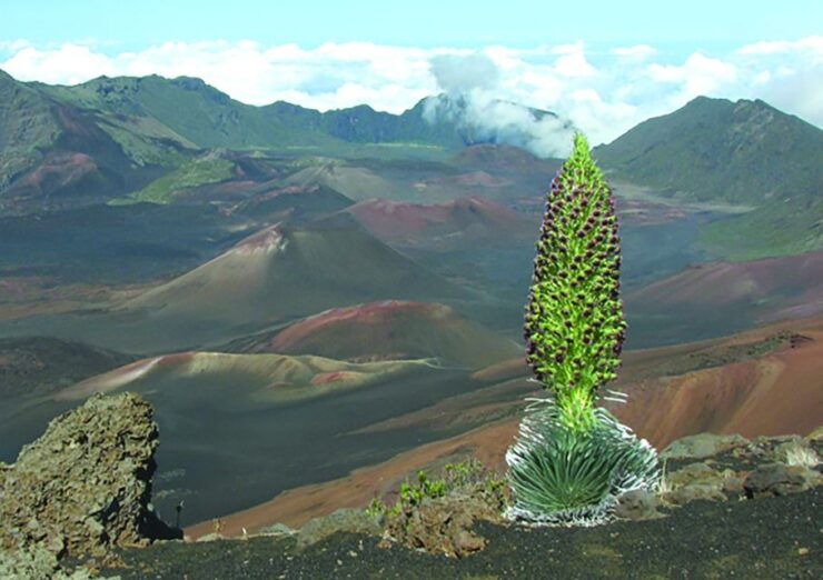 Maui: Haleakalā National Park Sunset Tour - Experience