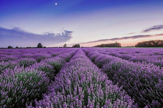 Maui Haleakala Volcano Summit Slingshot Tour from Kihei - Who is This Tour Best For?