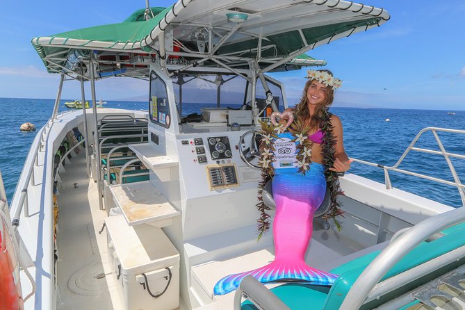 Maui Half-Day Snorkel & Dolphin Tour (Whale-Watching Seasonal) - Tour Overview