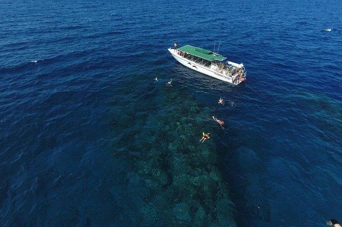 Maui Half-Day Snorkel & Dolphin Tour (Whale-Watching Seasonal) - Tour Details
