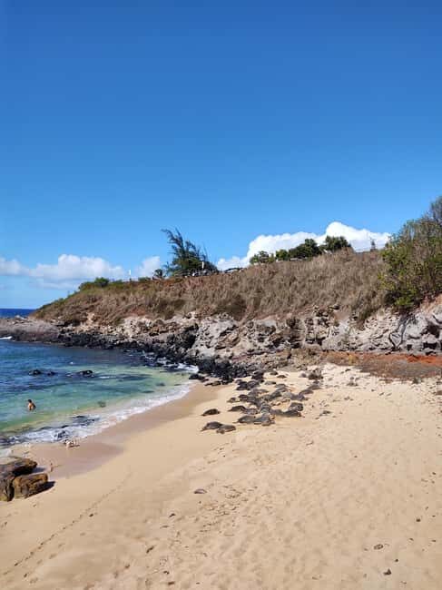 Maui: Halfway to Hana Black Sand Beach & Turtles Tour - A closer look at what this tour offers