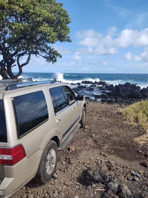 Maui: Halfway to Hana Black Sand Beach & Turtles Tour - Why choose this tour?
