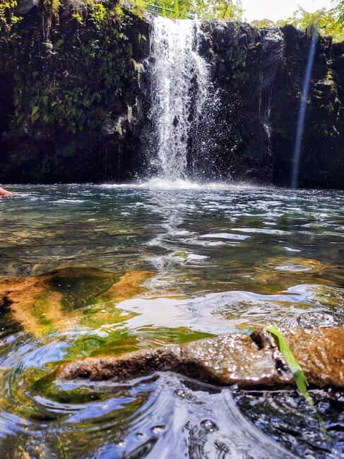 Maui: Halfway to Hana Black Sand Beach & Turtles Tour - Final thoughts