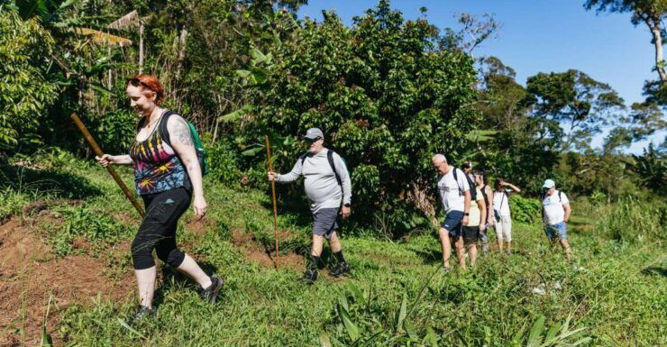 Maui: Hike to the Rainforest Waterfalls With a Picnic Lunch - The Original Experience
