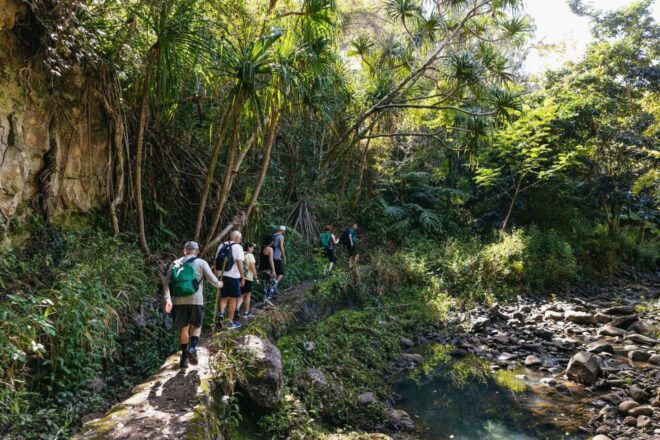 Maui: Hike to the Rainforest Waterfalls With a Picnic Lunch - Additional Recommendations