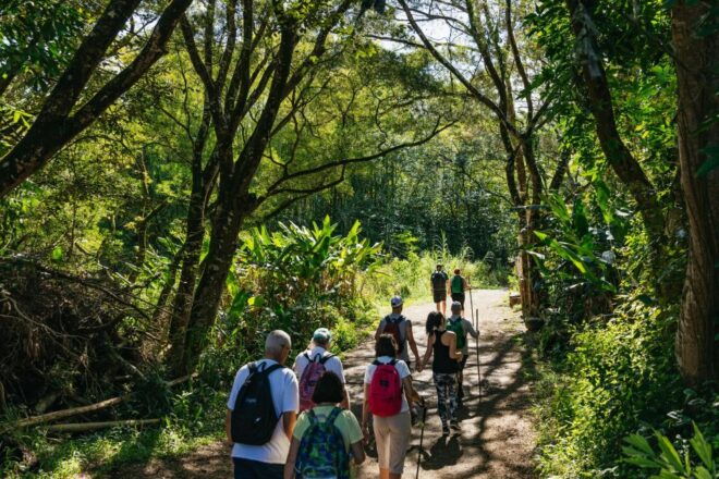 Maui: Hike to the Rainforest Waterfalls With a Picnic Lunch - Customer Reviews