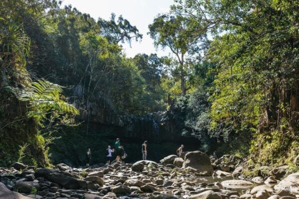 Maui: Hike to the Rainforest Waterfalls With a Picnic Lunch - Meeting Point