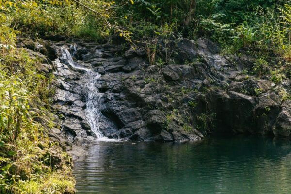 Maui: Hike to the Rainforest Waterfalls With a Picnic Lunch - Hiking Adventure