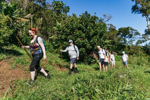Maui: Hike to the Rainforest Waterfalls With a Picnic Lunch - Picnic Lunch and Waterfall Fun
