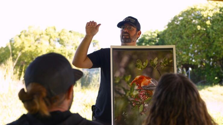 Maui: Honolua Ridgeline Informational Hike - Activity Details