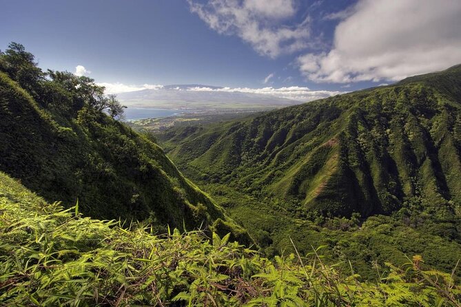 Maui Horseback-Riding Tour - Good To Know