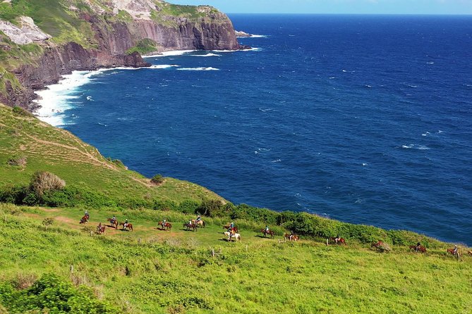 Maui Horseback-Riding Tour - Ranching, Roping, and Riding Activities