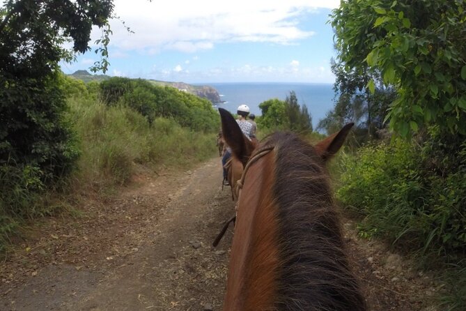 Maui Horseback-Riding Tour - Common Questions