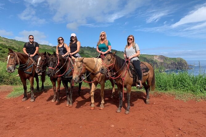 Maui Horseback-Riding Tour - The Sum Up