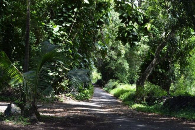 Maui: Iao Valley, Tropical Plantation & Lavender Farm Tour - Directions