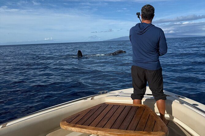 Maui Intimate Luxury Powerboat Private Charter - Who Should Consider This Tour?