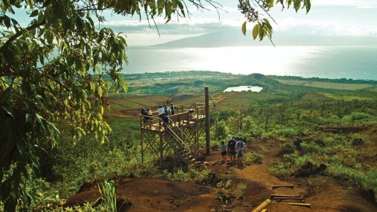 Maui: Ka'anapali 8 Line Zipline Adventure - Experience
