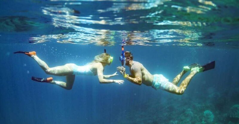 Maui: Kaanapali Beach 4-hour Snorkel w/ BBQ Lunch & Open Bar - Who Should Consider This Tour?
