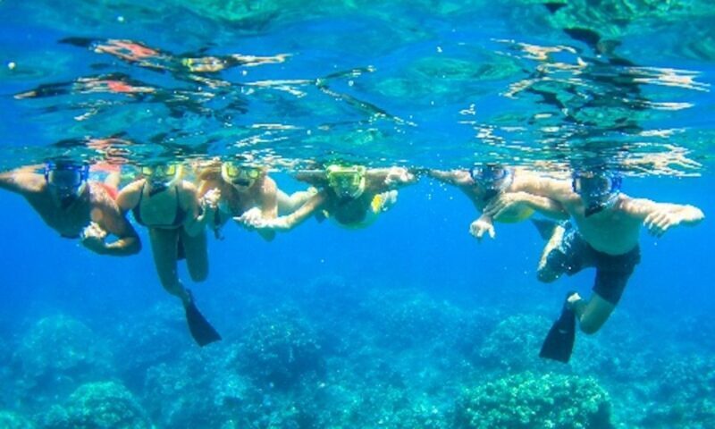 Maui: Kaanapali Beach 5-hr Snorkel w/ BBQ Lunch & Open Bar - Good To Know