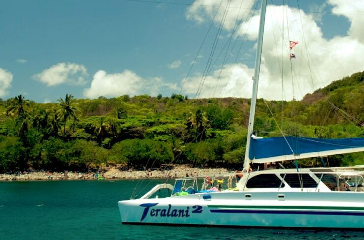 Maui: Kaanapali Beach Snorkel W/ Breakfast and Lunch - Experience Highlights
