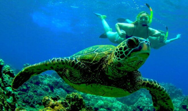 Maui: Kaanapali Beach Snorkel W/ Breakfast and Lunch - Food and Drinks