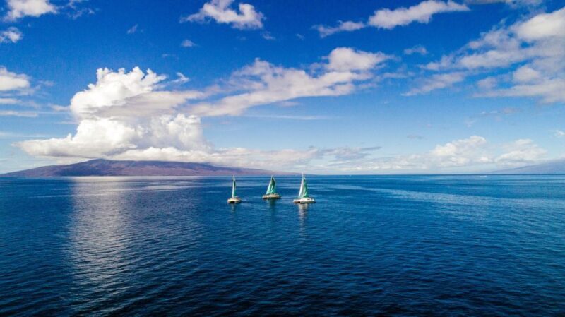 Maui: Kaanapali Dolphin Watching Boat Trip with Lunch - Who Should Consider This Tour?