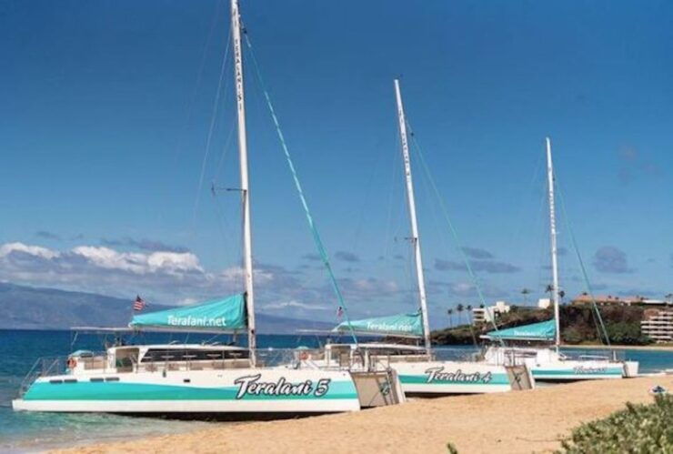 Maui: Ka'anapali Wild Dolphin Sail - Activity Details and Information