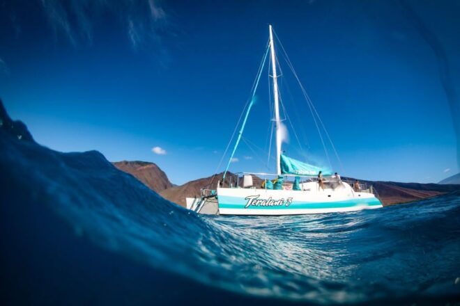 Maui: Ka'anapali Wild Dolphin Sail - Full Description of the Activity