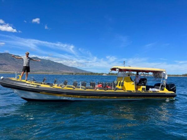 Maui: Koa Kai Whale Watch Adventure - Whale Watching Etiquette