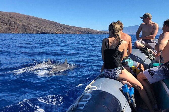 Maui-Lanai EcoRaft Tour: Snorkel or Dolphin Watch (Semi-Private) - Accessibility and Practical Tips