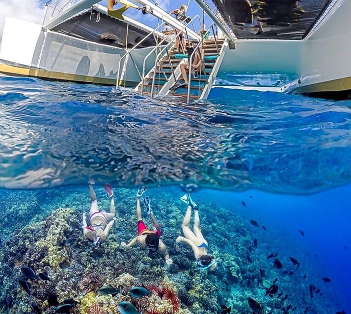 Maui: Luxury Catamaran Turtles & Tacos Snorkel - FAQ