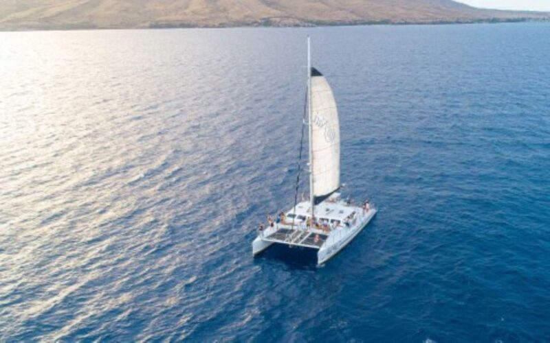 Maui: Luxury Catamaran Whale Watch & Sail - Why This Tour Works