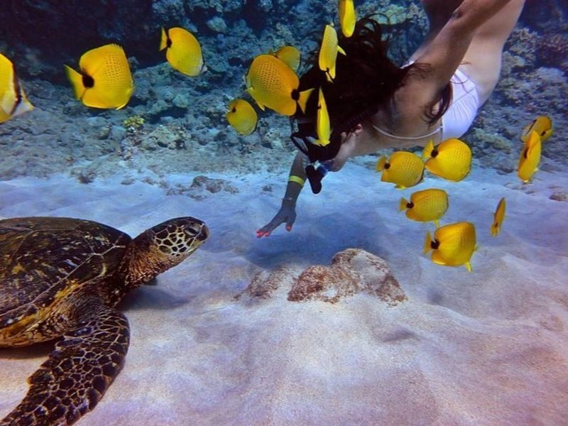Maui: Molokini Crater and Turtle Town Snorkeling - Breakfast, lunch, and what is included