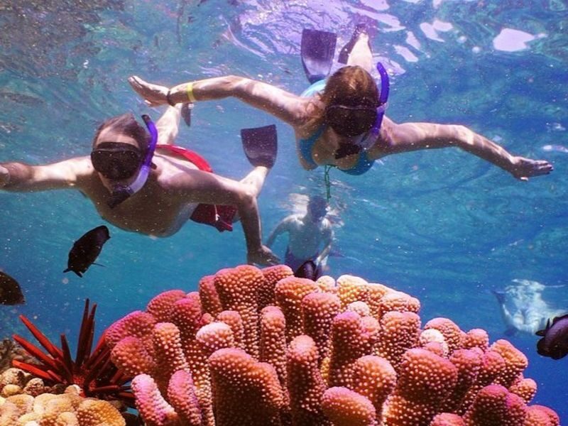 Maui: Molokini Crater and Turtle Town Snorkeling - Is the price fair for what you get?