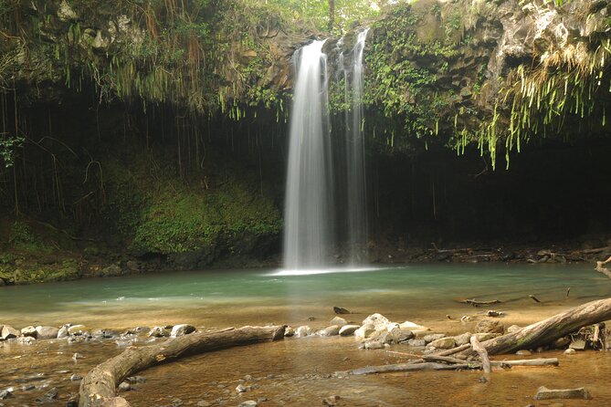 Maui Part-Way to Hana North Shore Sightseeing & Photography Tour! - Cancellation Policy