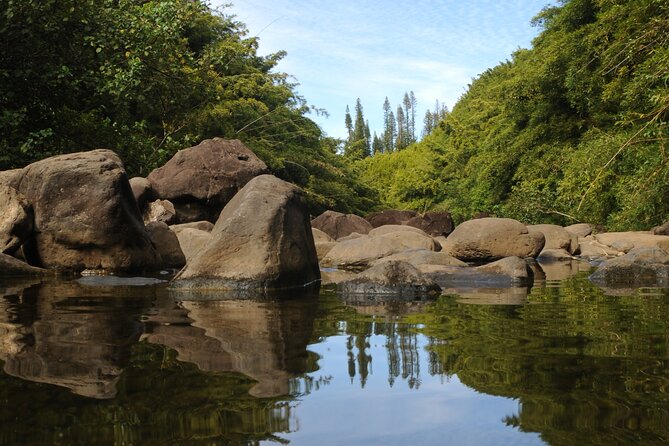 Maui Part-Way to Hana North Shore Sightseeing & Photography Tour! - Price