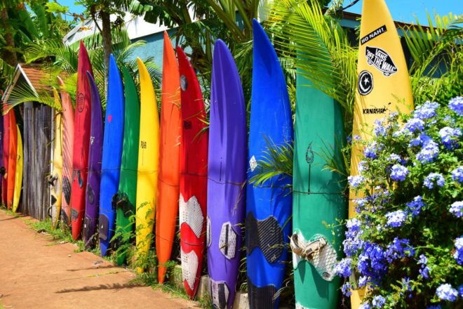 Maui: Private Customizable Island Tour With Transfer - Important Information