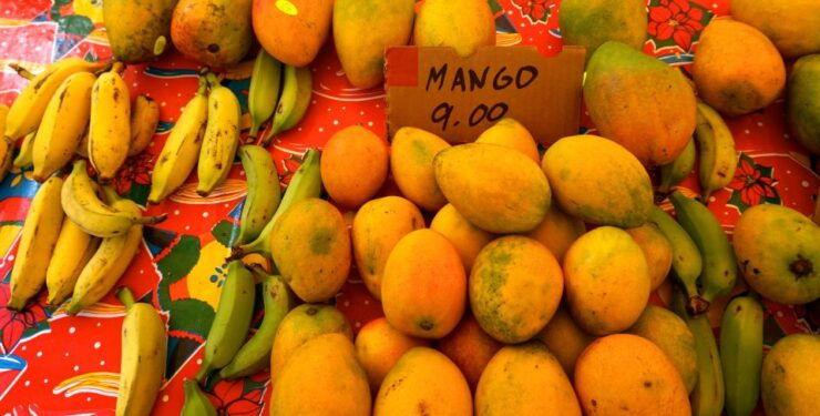 Maui: Private Guided Halfway to Hana Tour - Tour Details and Options