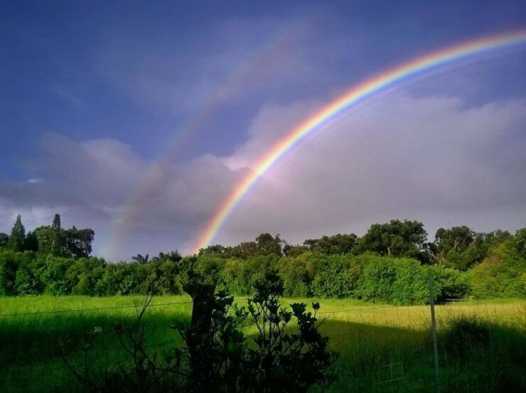 Maui: Private Guided Round-Trip Excursion to Hana - Good To Know
