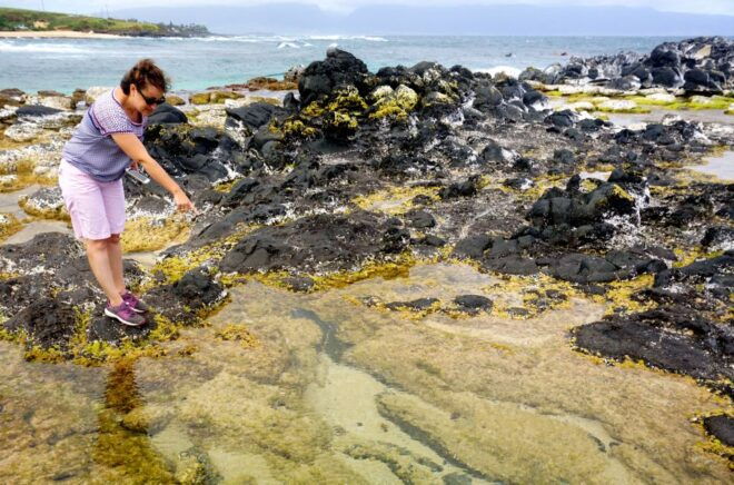 Maui: Private Guided Round-Trip Excursion to Hana - Duration and Accessibility