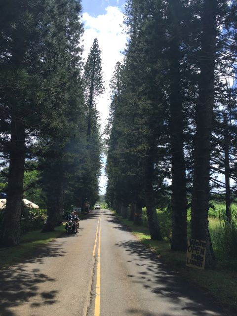 Maui: Private Road to Hana Day Trip - Just for Your Family - Activity Details