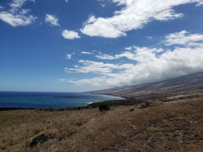Maui: Private Road to Hana Day Trip - Just for Your Family - Customer Reviews