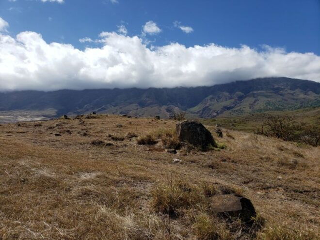 Maui: Private Road to Hana Day Trip - Just for Your Family - Additional Information
