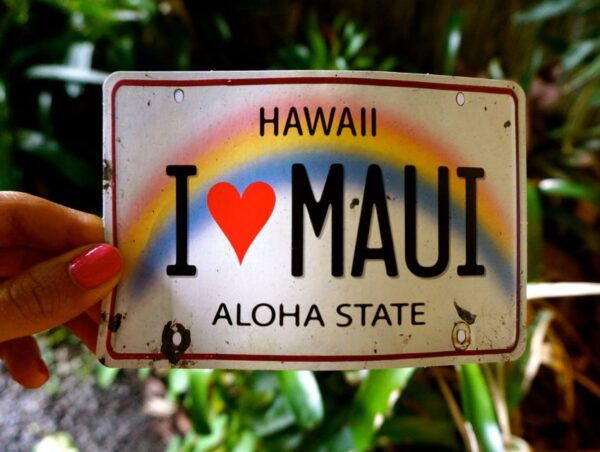Maui: Private Road to Hana Full Loop Guided Tour - Miscellaneous Booking Details