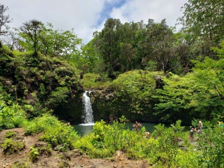 Maui: Road to Hana Adventure With Breakfast & Lunch - Activity Inclusions