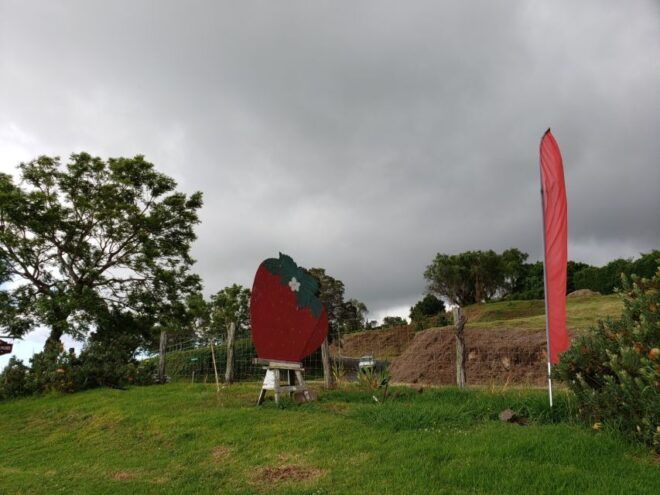 Maui: Road to Hana Adventure With Breakfast & Lunch - Customer Reviews