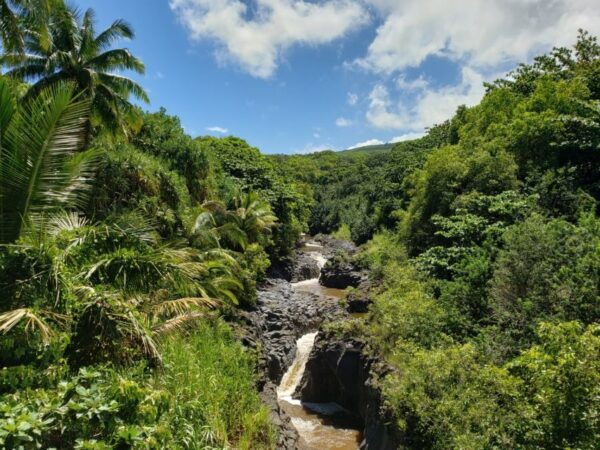 Maui: Road to Hana Adventure With Breakfast & Lunch - Tour Guide Experience