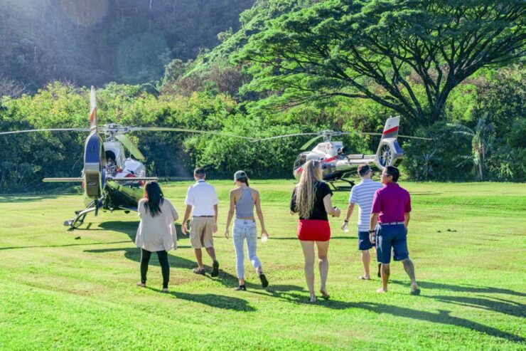 Maui: Road to Hana Helicopter & Waterfall Tour With Landing - Tour Highlights