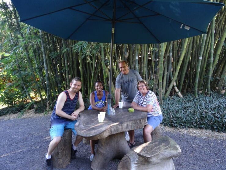Maui: Road to Hana Waterfalls Tour With Lunch - Activity Details and Benefits
