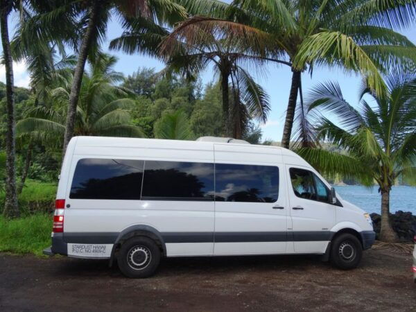 Maui: Road to Hana Waterfalls Tour With Lunch - Review Summary From Satisfied Travelers